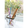 image:imageTiconderoga Envirostik WoodCased Pencils 2 HB Soft Natural 12 Count12 Count Pack of 1