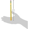 image:imageTiconderoga My First TriWrite WoodCased Pencils Unsharpened 2 HB Soft With Erasers Yellow 36 Countw Erasers