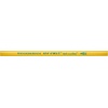 image:imageTiconderoga My First TriWrite WoodCased Pencils Unsharpened 2 HB Soft Without Erasers Yellow 36 Count6