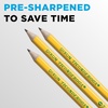 image:imageTiconderoga WoodCased Pencils Unsharpened 25 F Medium Yellow 12 Count12 Count Pack of 1