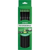 image:imageTiconderoga WoodCased Pencils Unsharpened 2 HB Soft Black 12 Count1 Count Pack of 24